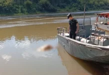 Impactante hallazgo: encuentran un cadáver con una bolsa en la cabeza flotando en el río Paraná