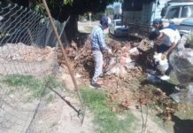 La gestión del intendente Norberto Villordo refuerza la recolección de malezas en la ciudad junto a Gonzalo Lomónaco